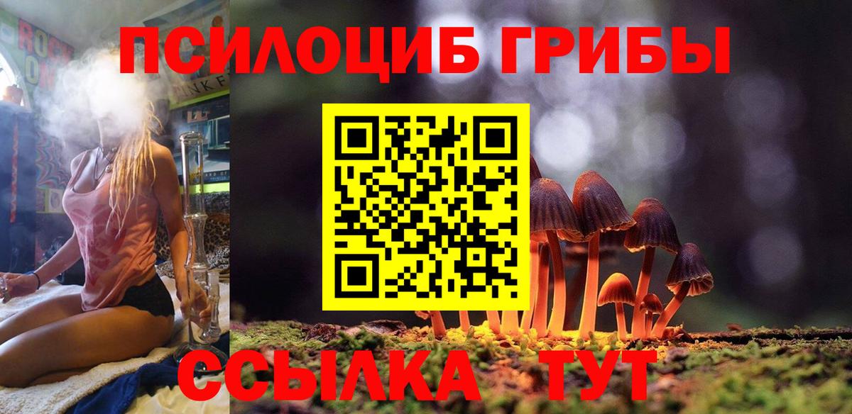 Галлюциногенные грибы GOLDEN TEACHER  Вход с VPN  Галлюциногенные грибы ЛСД  Новоалександровск 